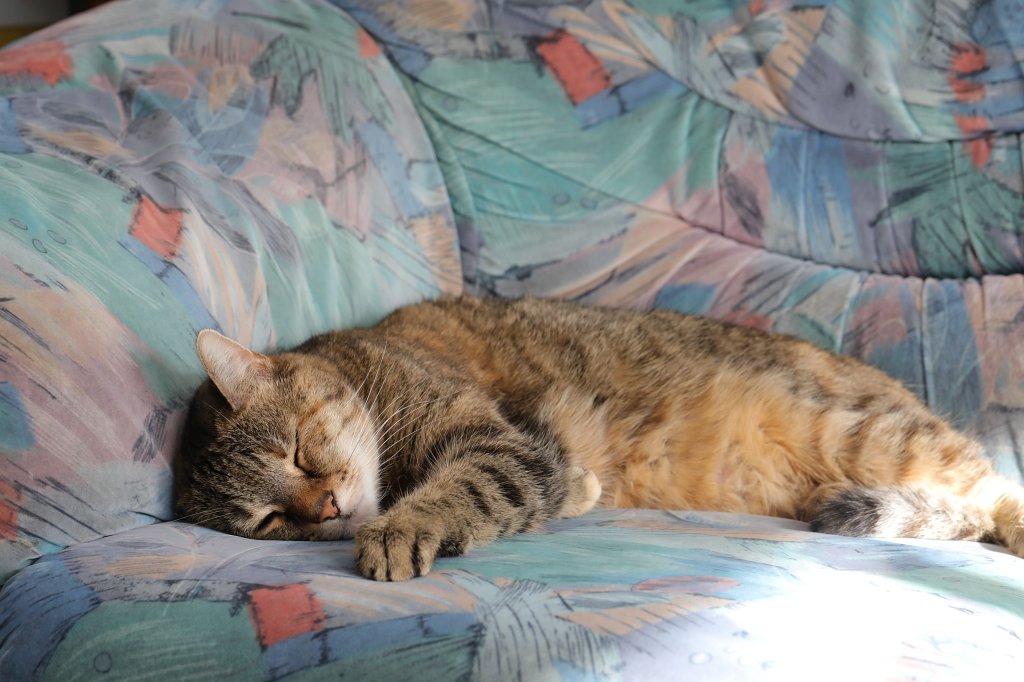 574A3696.JPG - Emily