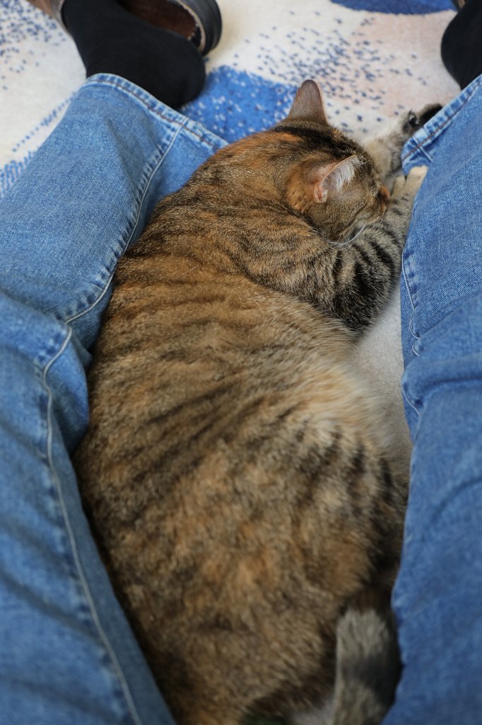 574A3698.JPG - Emily