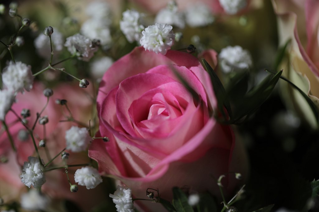 574A5106.JPG - Flower bouquet (Blumenstrauß)