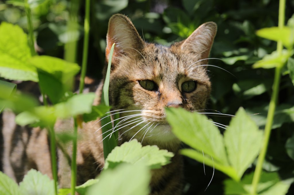 574A5650.JPG - Emily