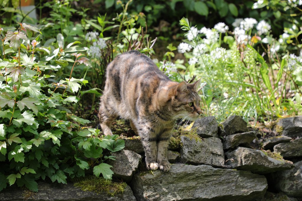 574A5662.JPG - Emily