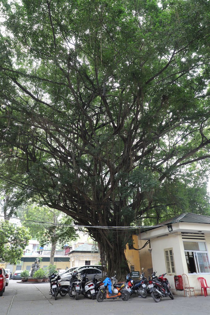 574A5806.JPG -  Trường Trung học phổ thông Việt Đức 