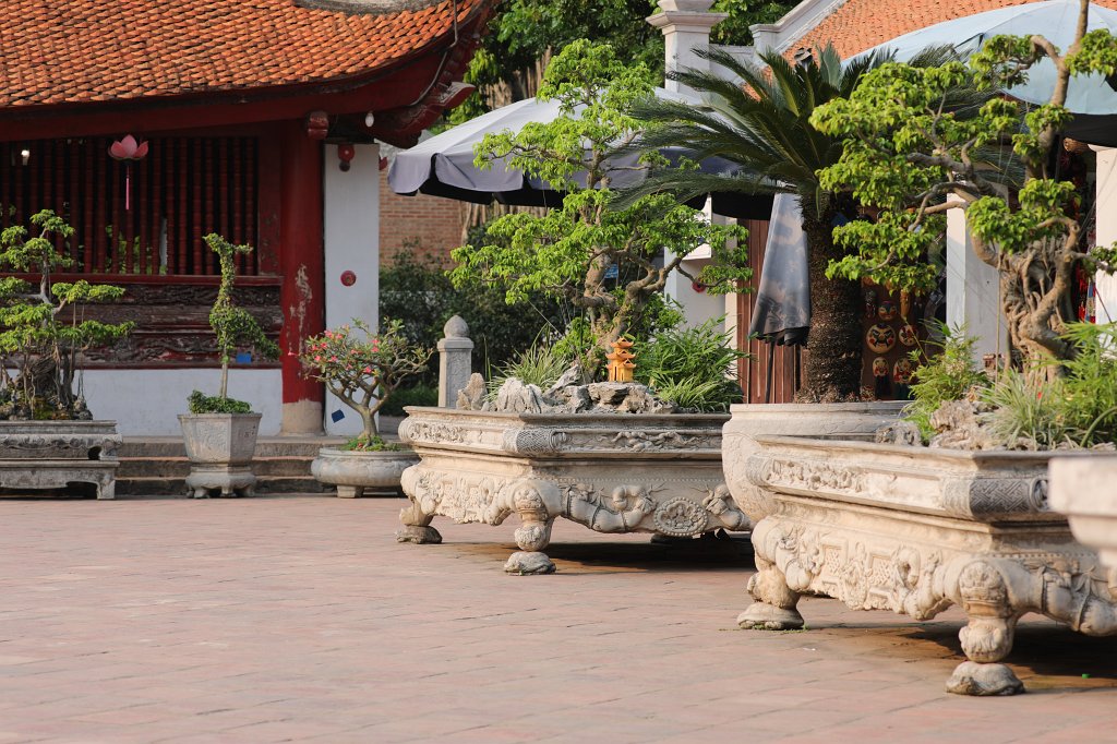 574A5896.JPG -  Temple of Literature  is a  Temple of Confucius  in  Hanoi  - Temple of Literature - Bonsai in the fourth courtyard