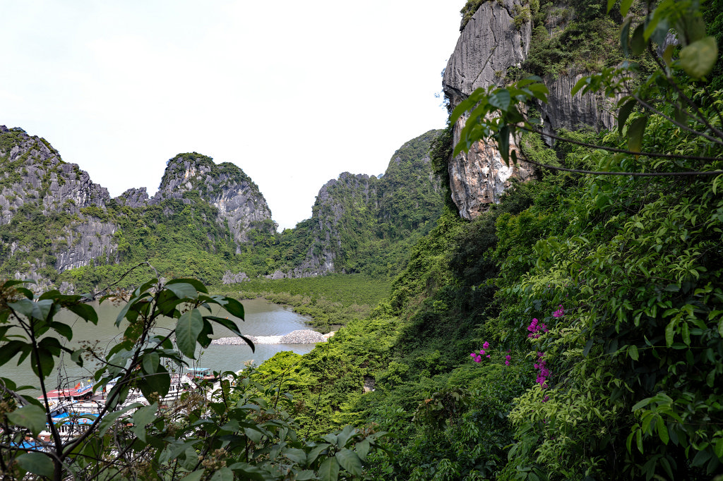 574A6382_c.jpg -  Ha Long Bay 