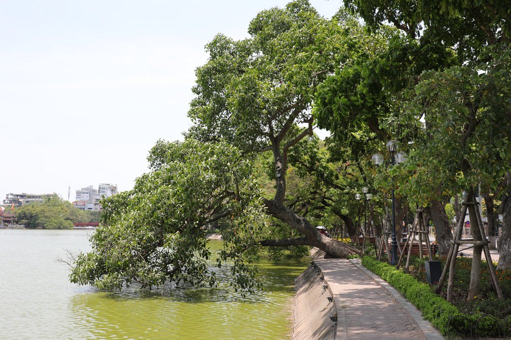 574A6945.JPG -  Hoàn Kiếm lake  at night. The legend says that a emporer got asked by a turtle to give back a magical sword he got from the dragon god and used to defeat the chinese. The king gave back the sword and this event is memorized by a tower on a island in the  Hoàn Kiếm lake .