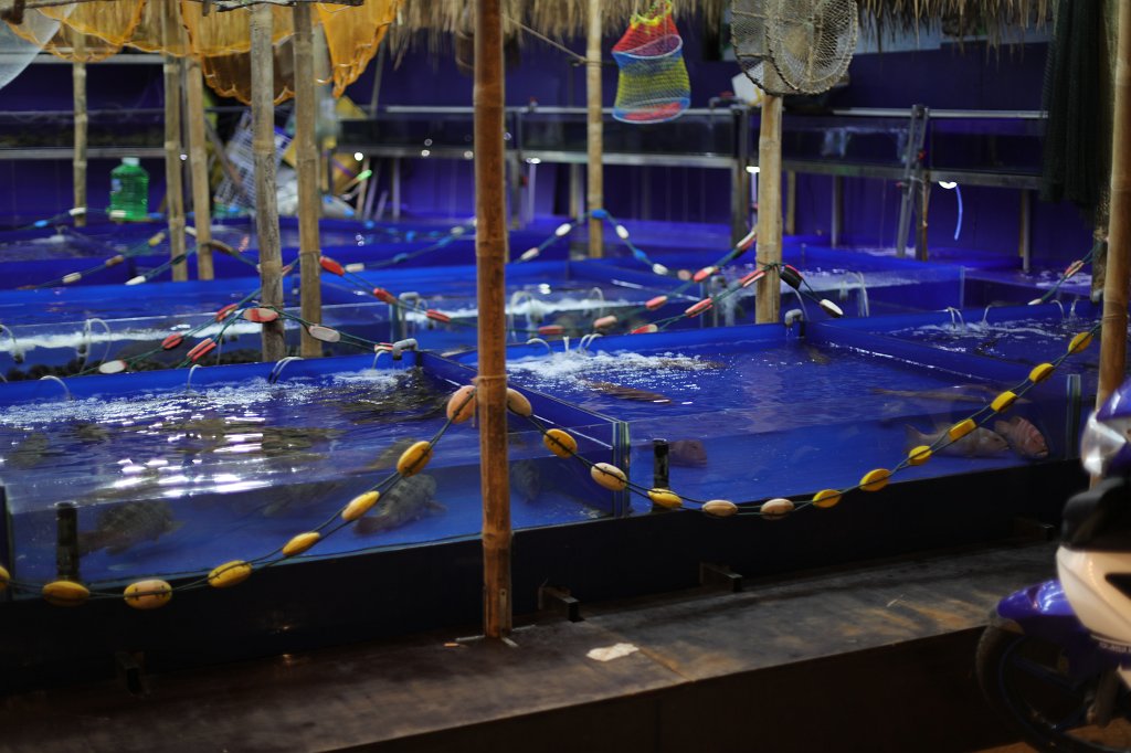 574A7297.JPG - Streets of  Danang 