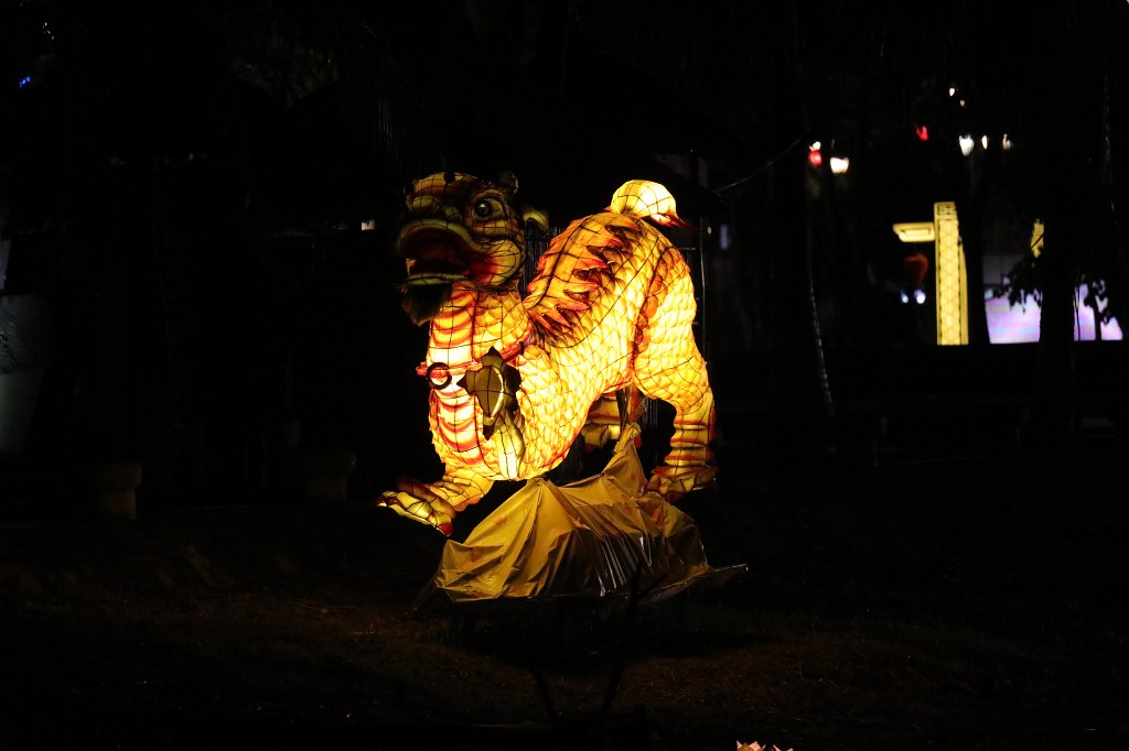 574A7541.JPG - Streets and Lights of  Hội An 