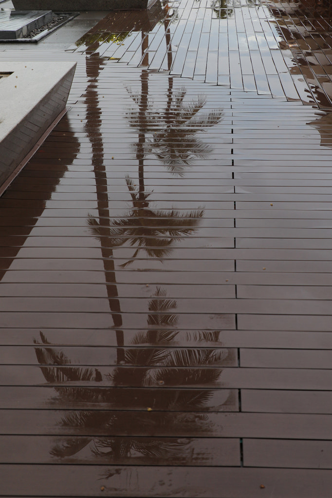 574A7623_c.jpg - Furama Resort  Danang 