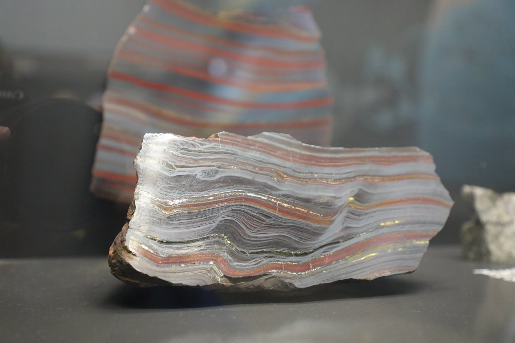 574B0472.JPG -  Senckenberg Museum of natural history  ( Senckenberg Naturmuseum )