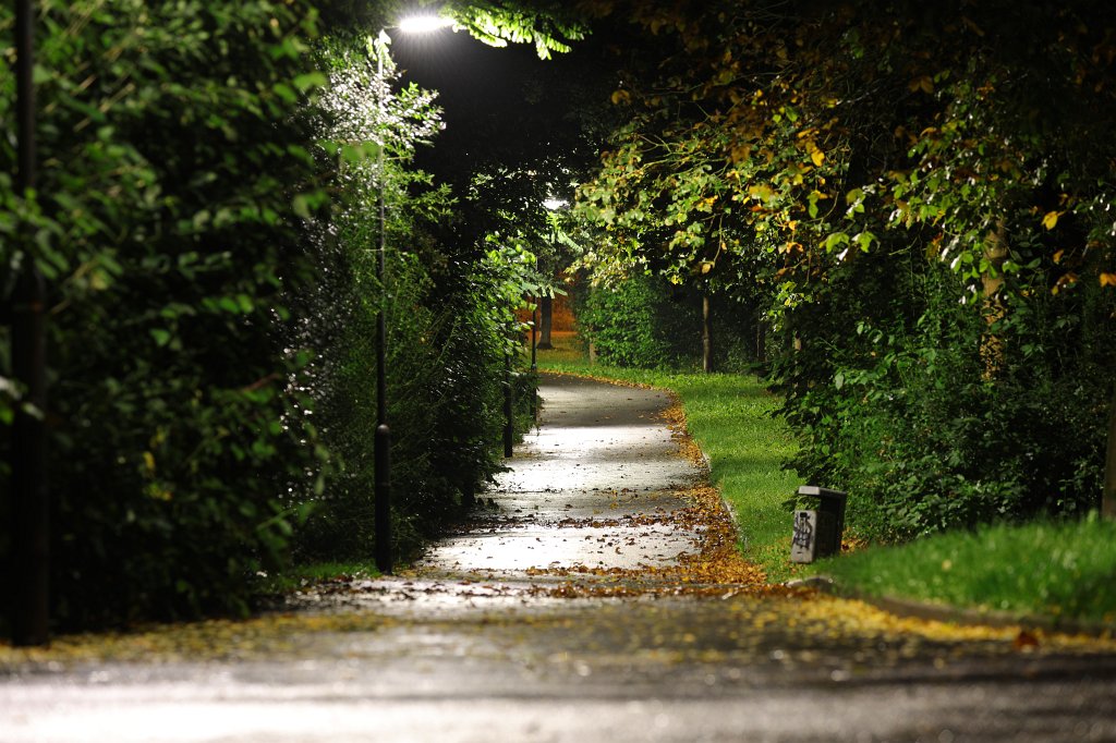 574A9483.JPG -  Neu-Anspach  walk in the night