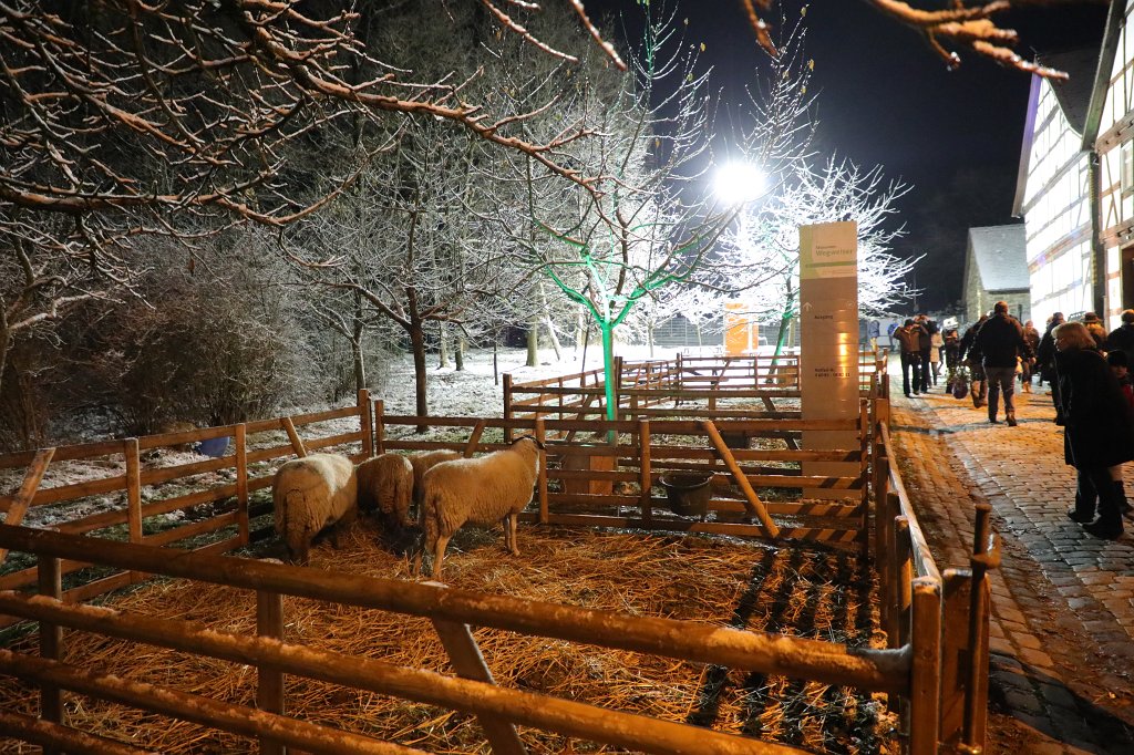574B0683.JPG - Weihnachtsmarkt Hessenpark 2017