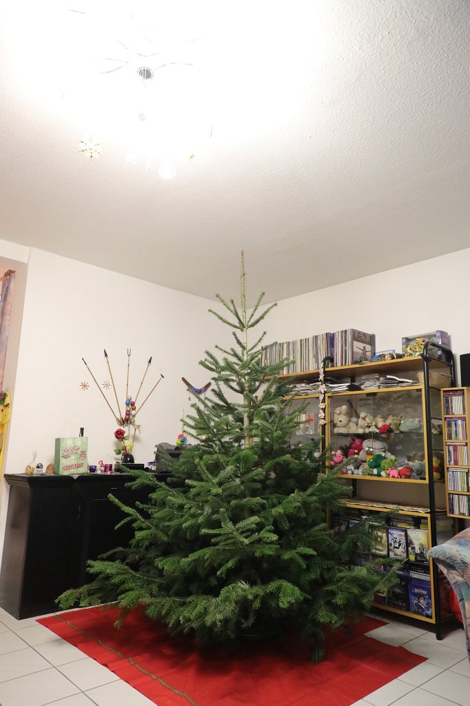 574B0809.JPG - Weihnachtsbaum