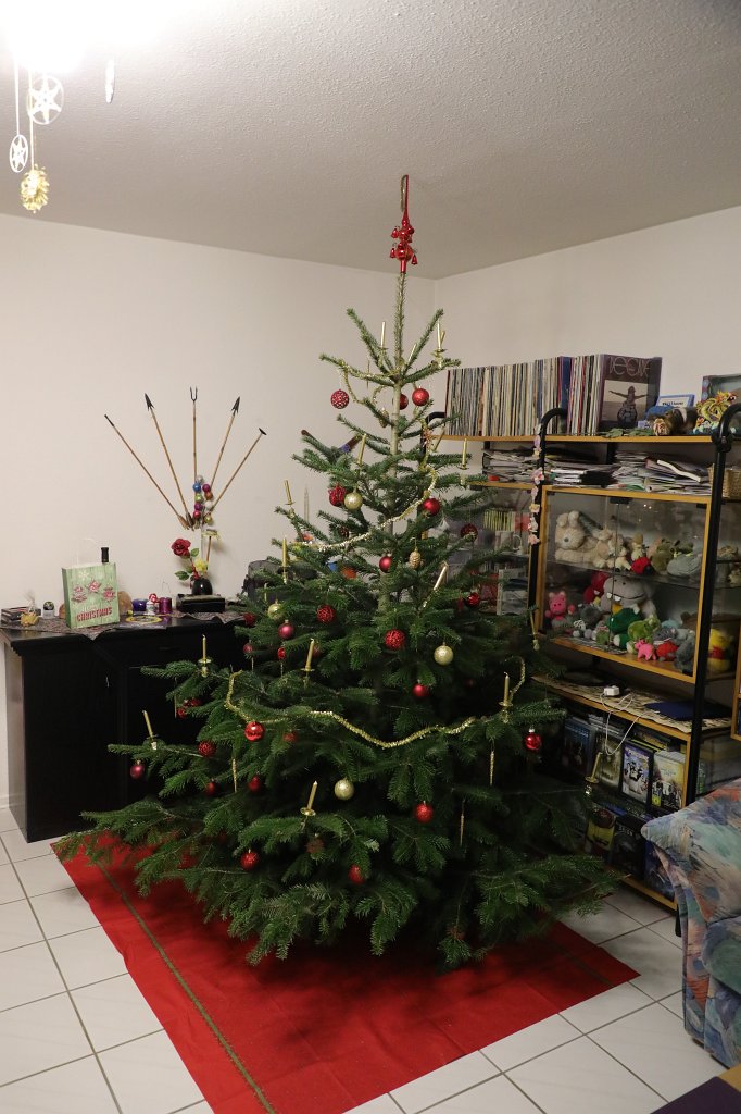 574B0818.JPG - Weihnachtsbaum