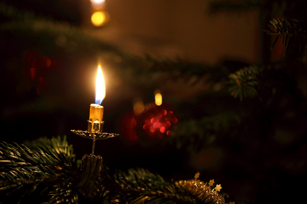 574B0834_c.jpg - Weihnachtsbaum