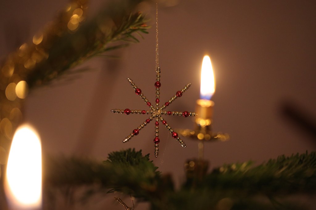 574B0839.JPG - Weihnachtsbaum