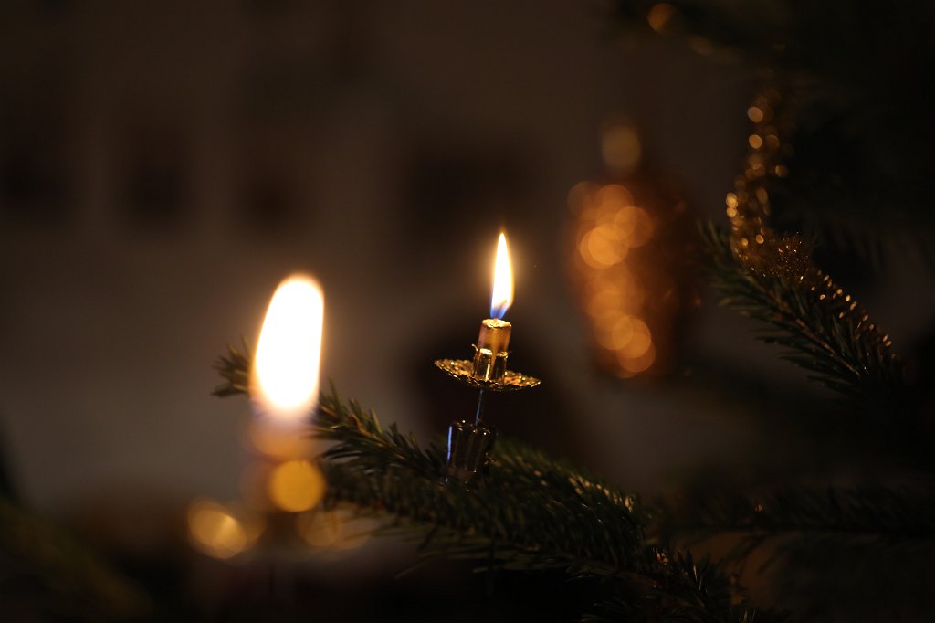 574B0851.JPG - Weihnachtsbaum