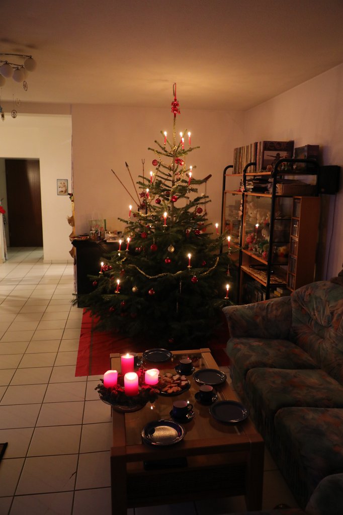574B0863.JPG - Weihnachtsbaum