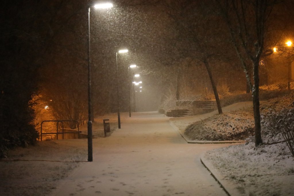 574B0870.JPG - Snowing