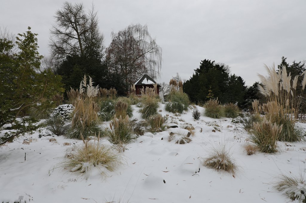 574B2320.JPG -  Palmengarten  in white