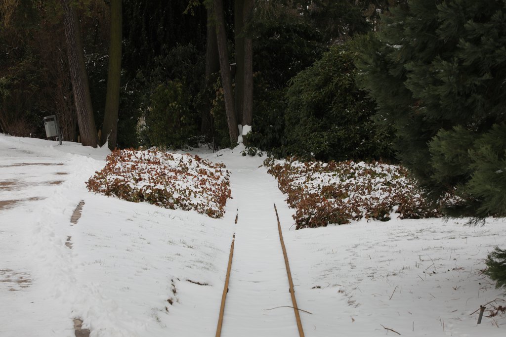 574B2326.JPG -  Palmengarten  in white