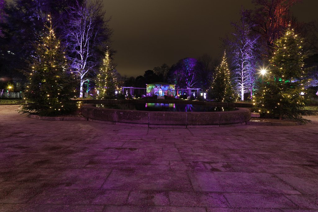 574B0904.JPG - Winterlichter im  Palmengarten 