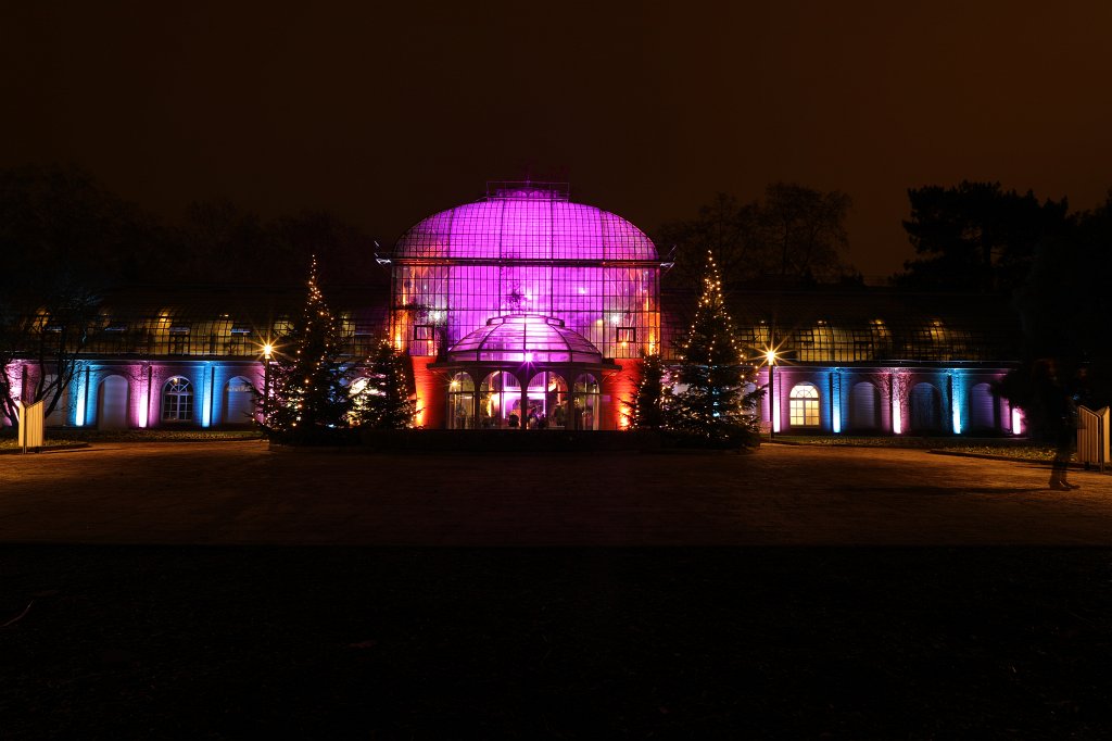 574B0906.JPG - Winterlichter im  Palmengarten 