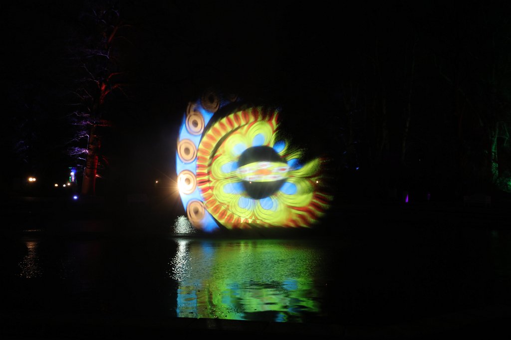 574B0914.JPG - Winterlichter im  Palmengarten 