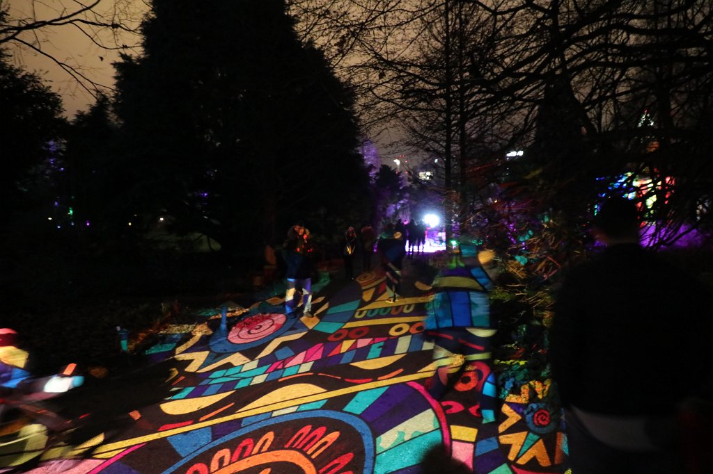 574B0953.JPG - Winterlichter im  Palmengarten 