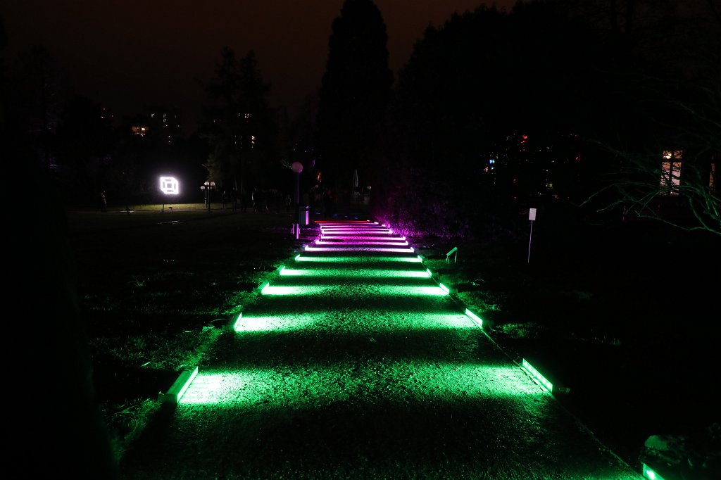 574B0963.JPG - Winterlichter im  Palmengarten 