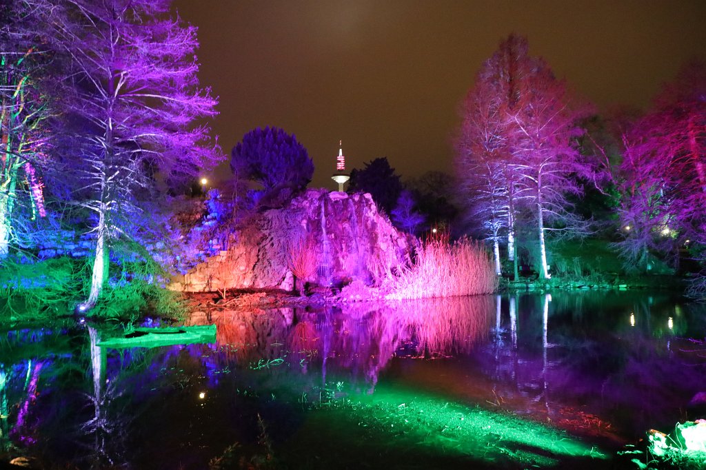 574B0977.JPG - Winterlichter im  Palmengarten 