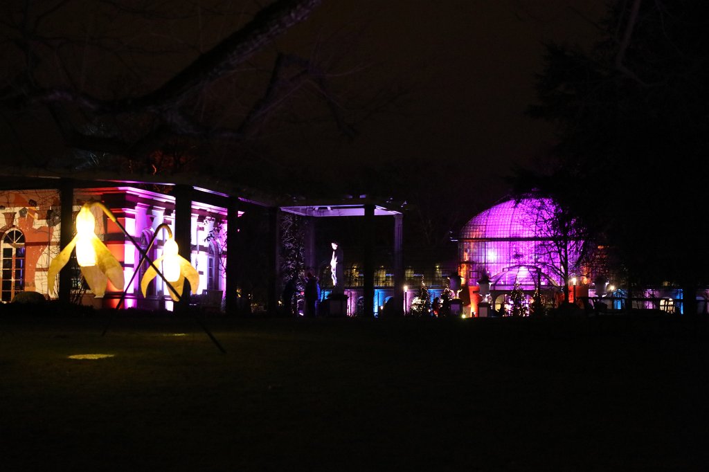 574B0988.JPG - Winterlichter im  Palmengarten 