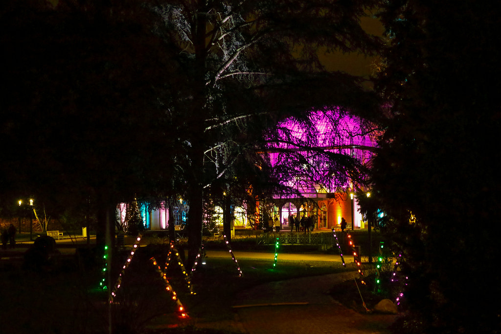 574B1003_c.jpg - Winterlichter im  Palmengarten 
