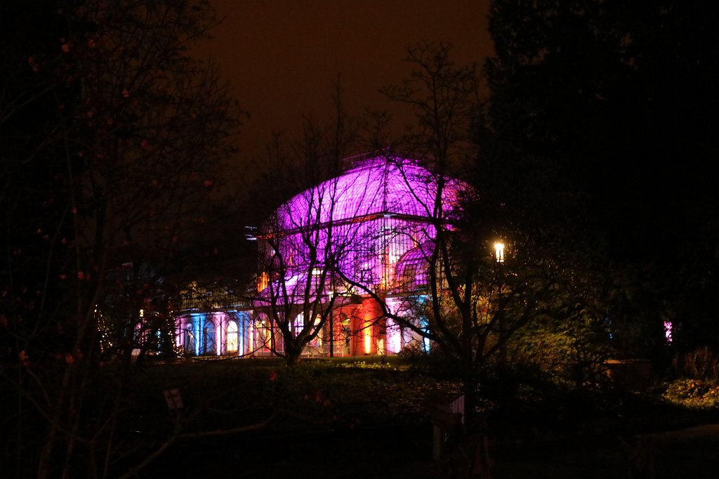 574B1015.JPG - Winterlichter im  Palmengarten 