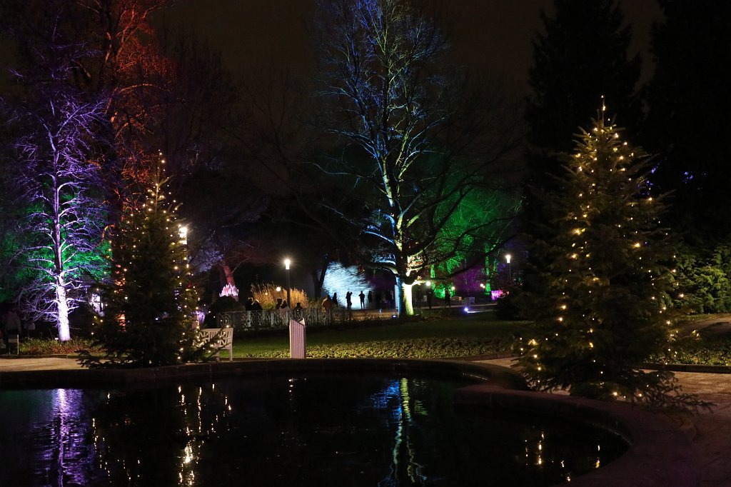574B1021.JPG - Winterlichter im  Palmengarten 