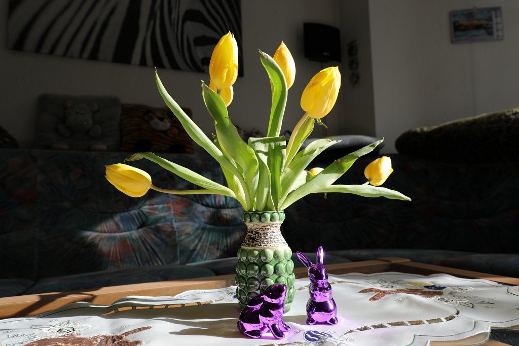 574B2735.JPG - Tulip bouquet