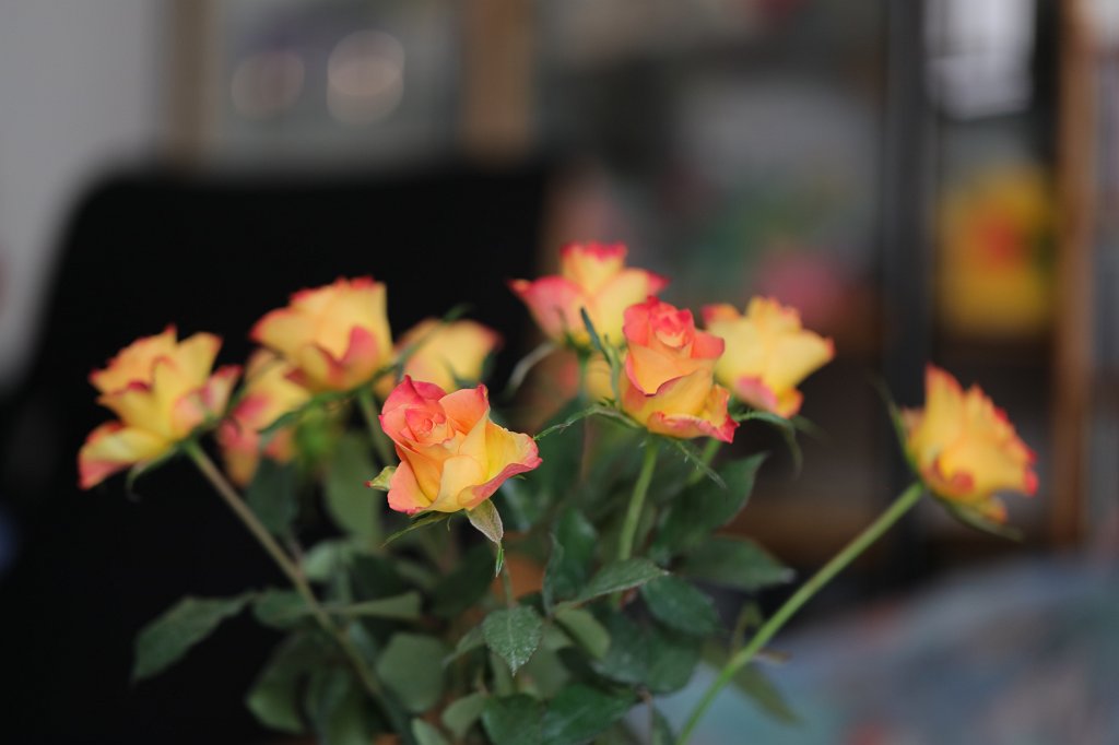 574B2916.JPG - Rose bouquet