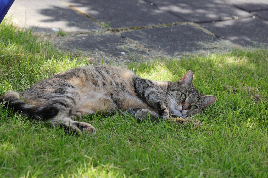 574B3405.JPG - Emilie