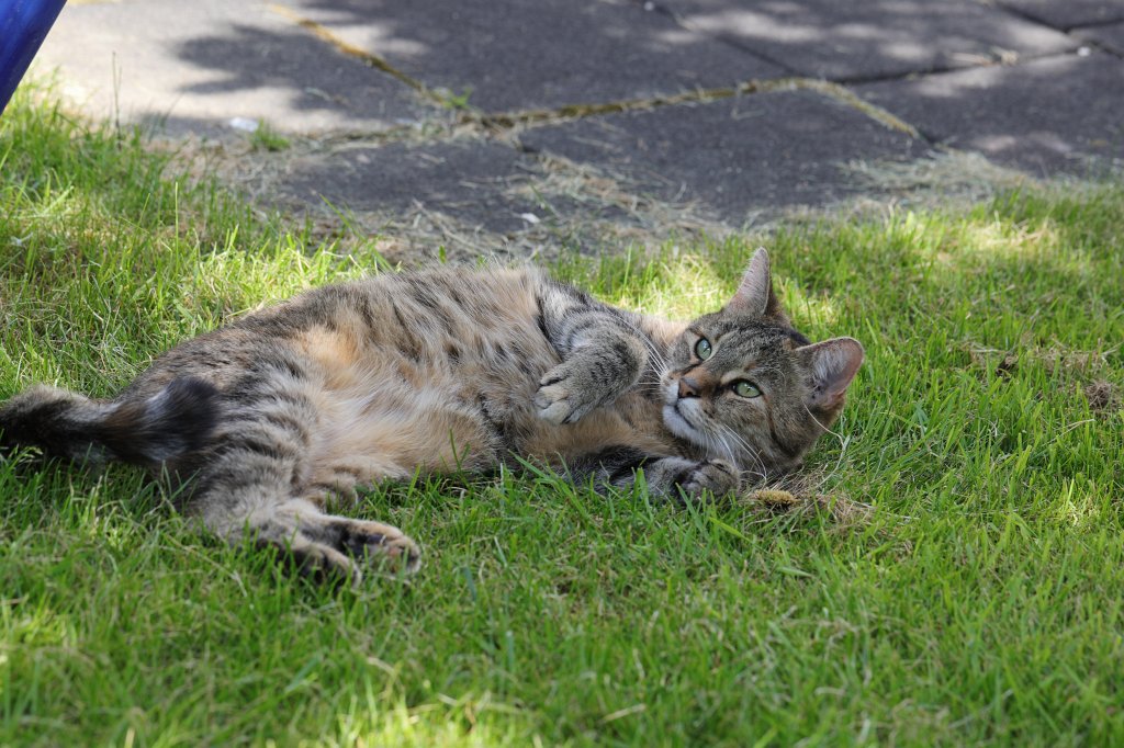 574B3406.JPG - Emilie