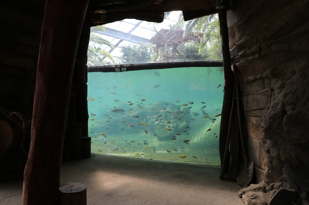 574B3976.JPG - Aquarium