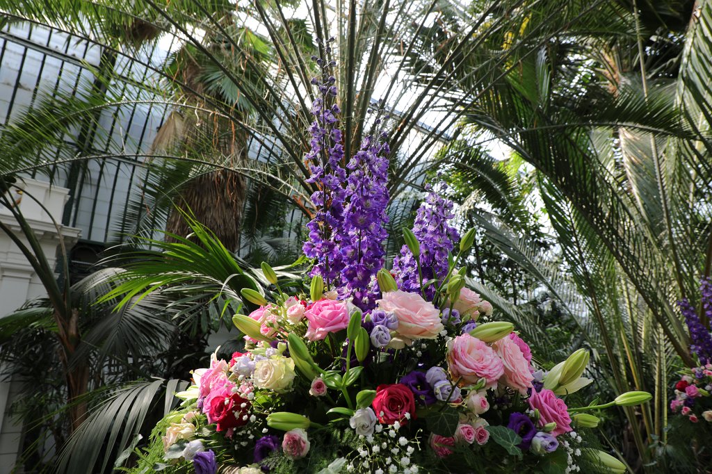 574B4870.JPG - Rosen- und Lichterfest im  Palmengarten   Frankfurt 