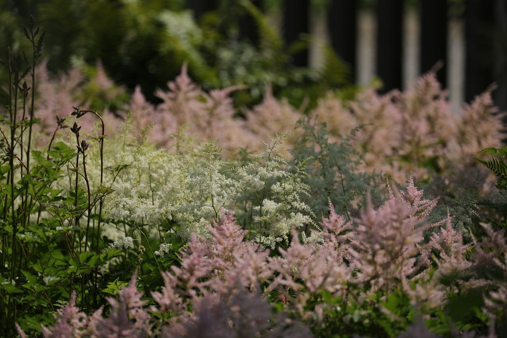 574B4892.JPG - Flower in the  Palmengarten   Frankfurt 