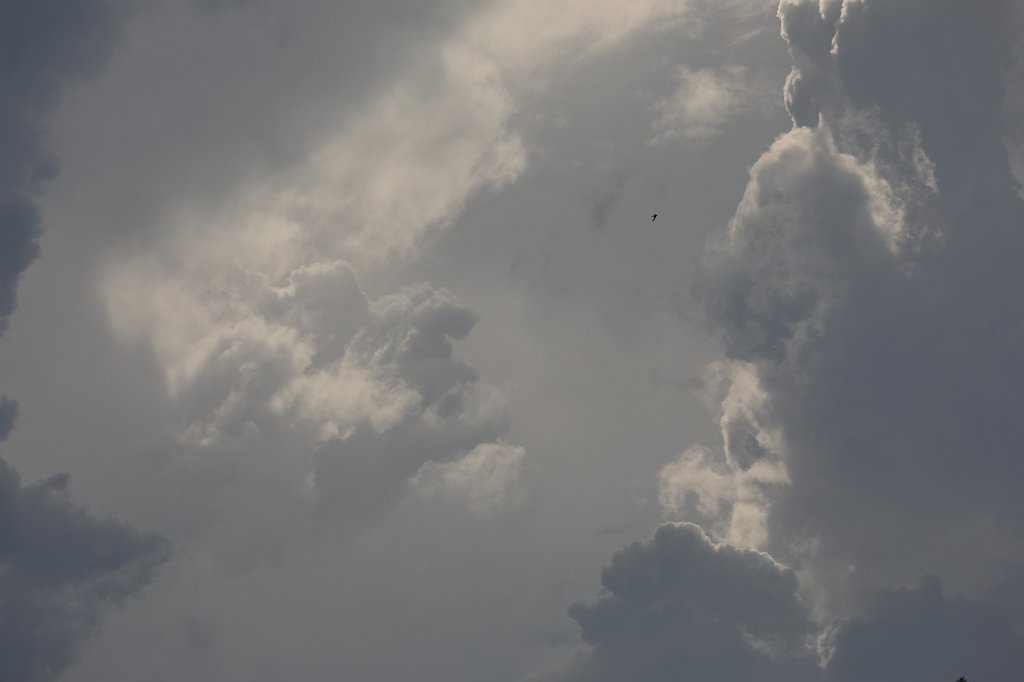 574B4970.JPG - Clouds