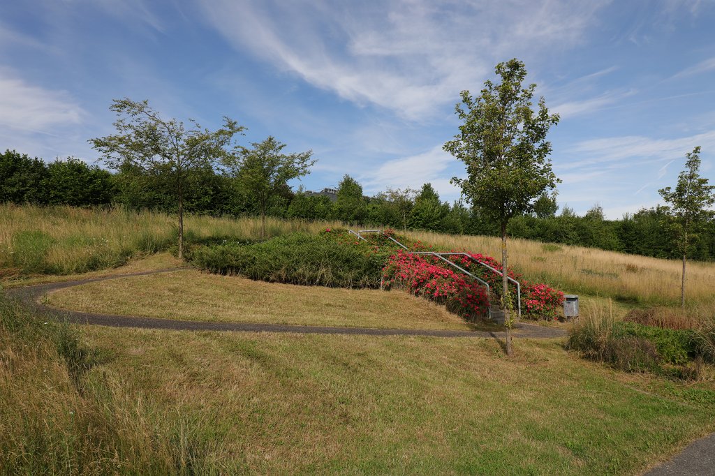 574B5102.JPG - Stadtpark Westerfeld