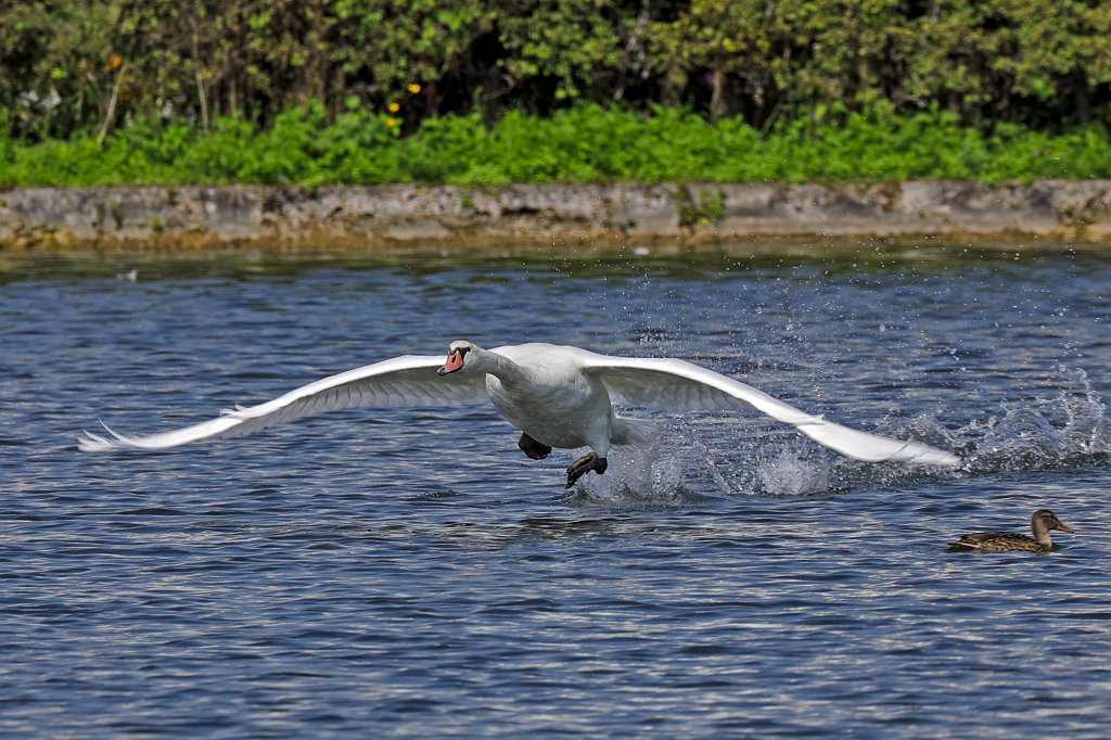 574B5557_c.jpg -  Nymphenburg Palace  in  Munich 