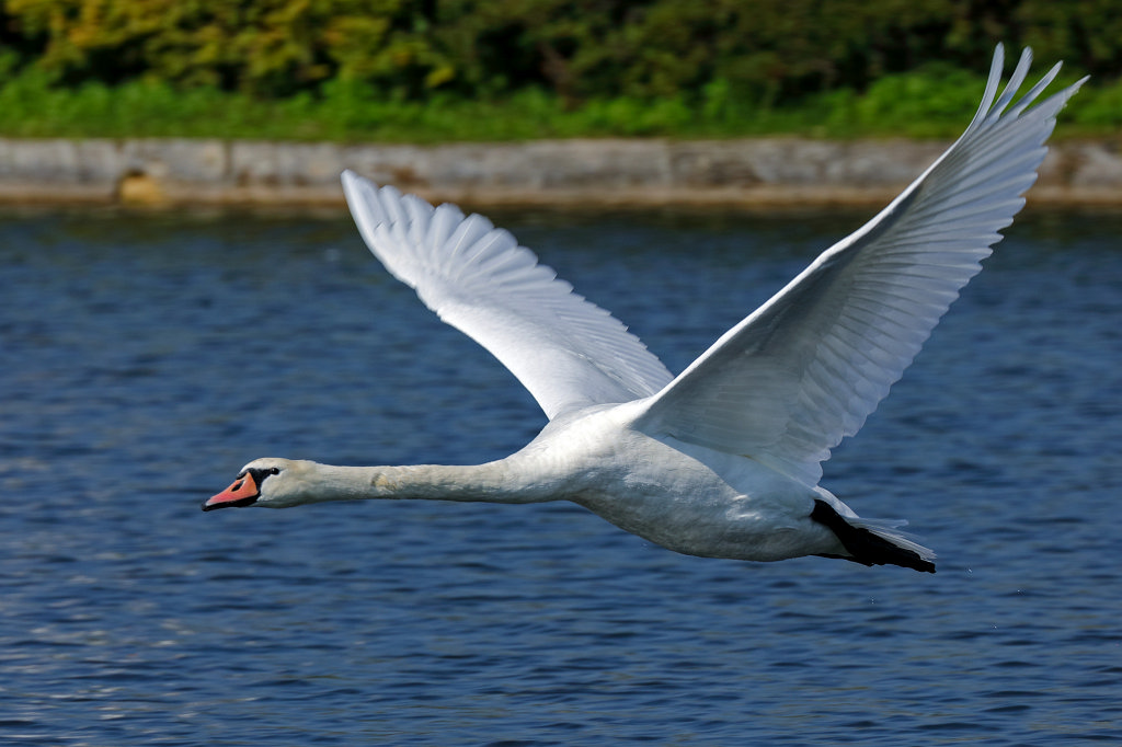 574B5563_c.JPG -  Nymphenburg Palace  in  Munich 