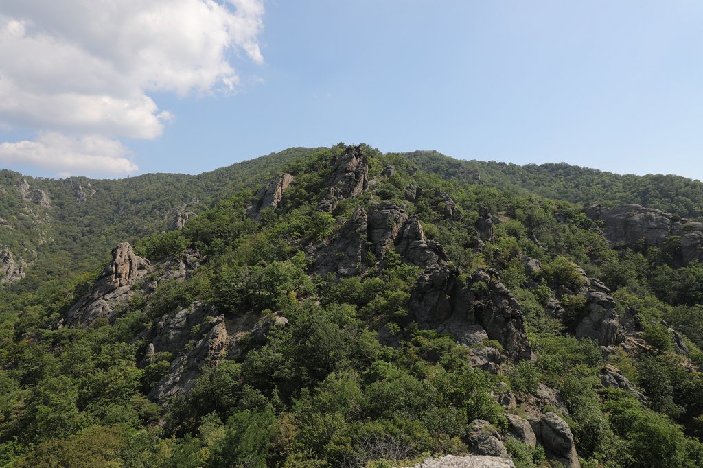 574B7249.JPG -  Wachau  ( Wachau )