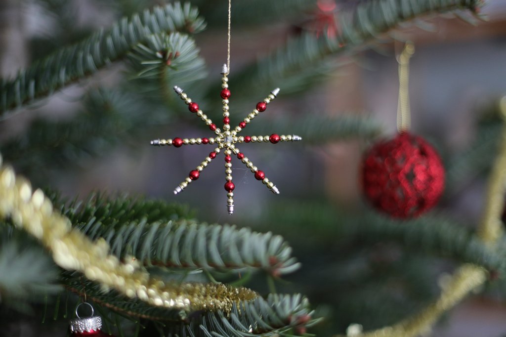 574B8187.JPG - Weihnachtsbaum 2018