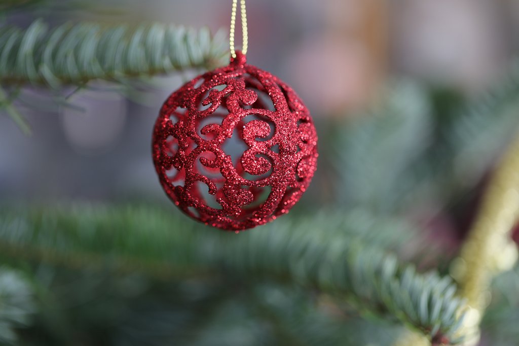 574B8190.JPG - Weihnachtsbaum 2018