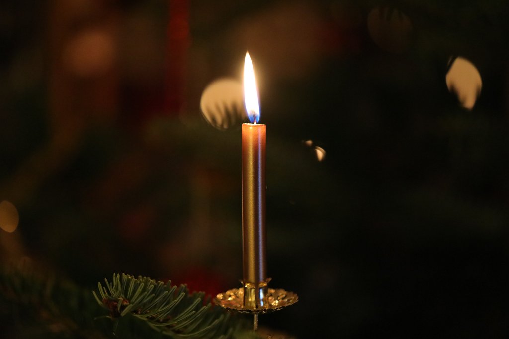 574B8194.JPG - Weihnachtsbaum 2018