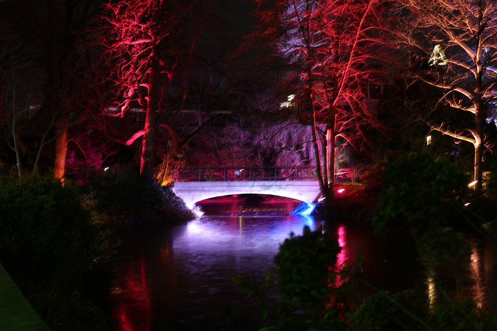 574B8449.JPG -  Palmengarten  Winterlichter 2018/2019